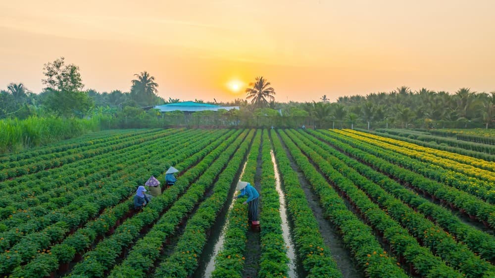 Advancing Agriculture with Science